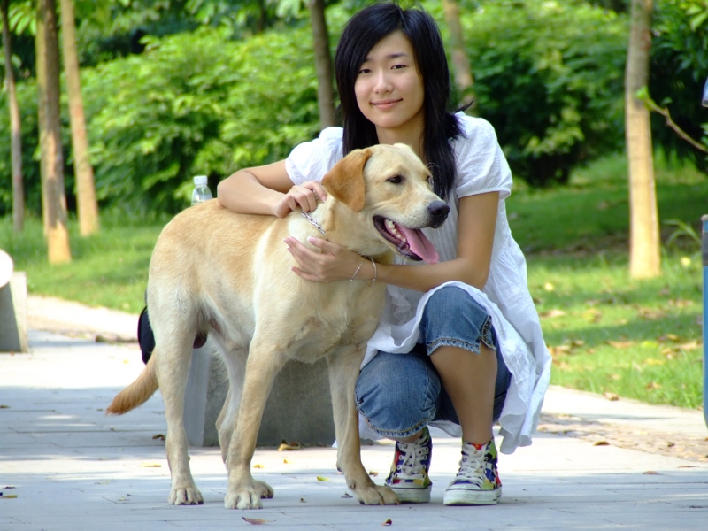 风中的绿叶的第一张照片--渭南相亲服务中心