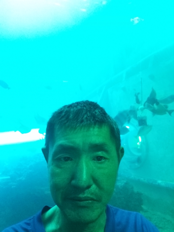 陸戰隊的第一张照片--渭南相亲服务中心