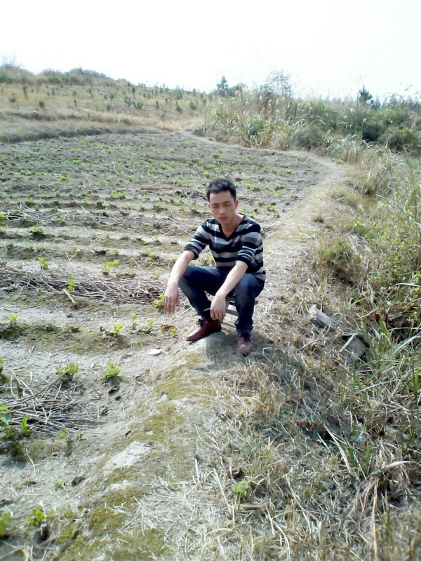 你好的第一张照片--渭南相亲服务中心