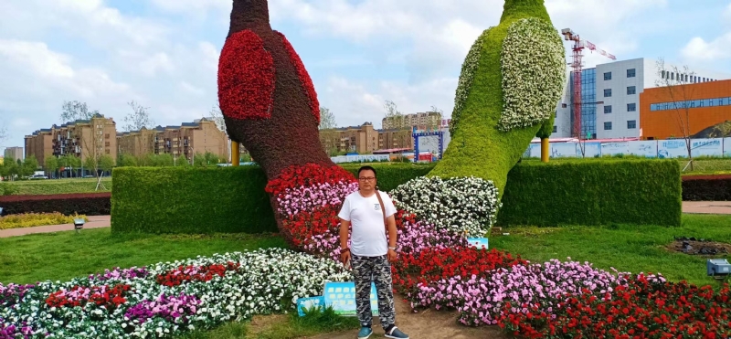 尘埃的第一张照片--渭南相亲服务中心