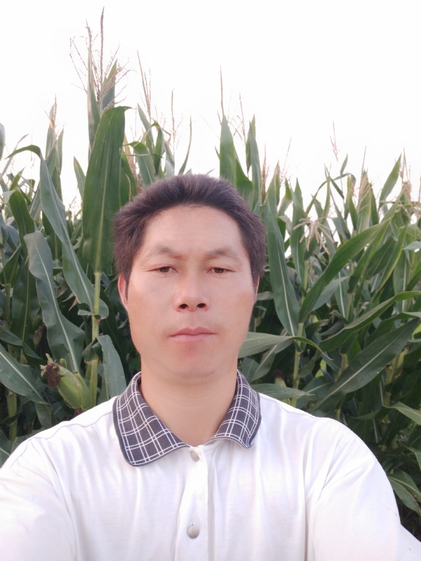 四海游龙的第一张照片--渭南相亲服务中心