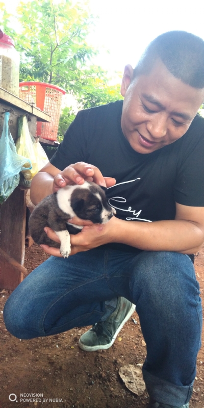 深圳相亲的第一张照片--渭南相亲服务中心