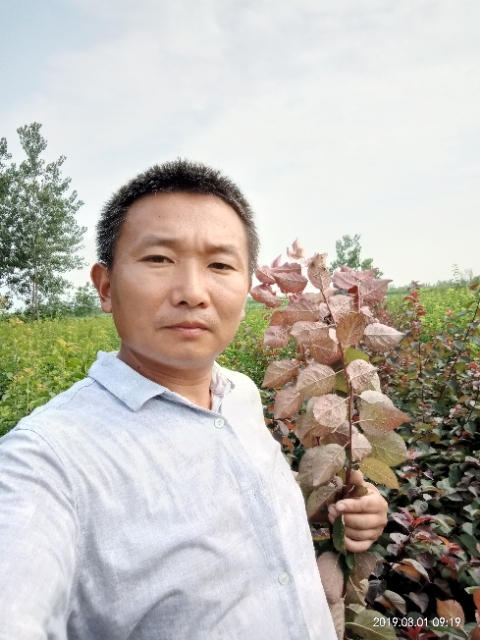 孩子爸的第一张照片--渭南相亲服务中心