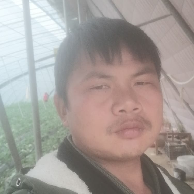 孤狼‘的第一张照片--渭南相亲服务中心