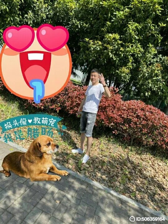 我若不坚强谁替我勇敢的第五张照片--渭南相亲服务中心