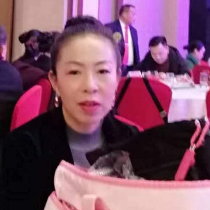 中秋桂花玉兔的第四张照片--渭南相亲服务中心
