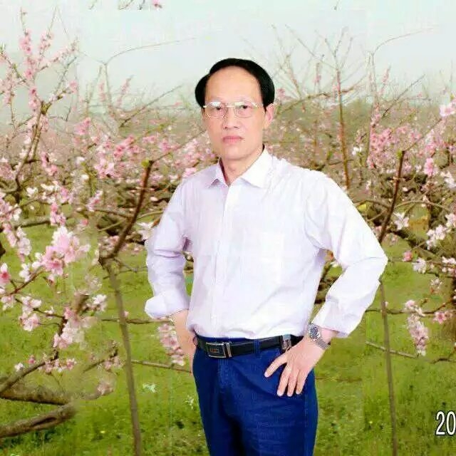 枫叶的第一张照片--渭南相亲服务中心